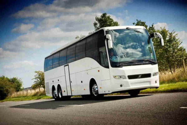 A Beginner’s Guide to Booking Private Buses for Family Tours bus