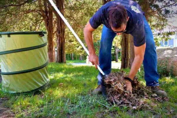 7 Smart Waste Removal Tips for Garden Clearance Success maxresdefault (1)